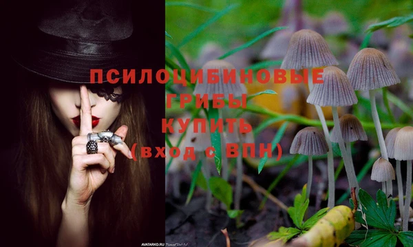спиды Балахна