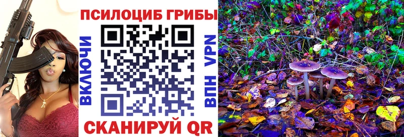 Галлюциногенные грибы Psilocybine cubensis  Лангепас 